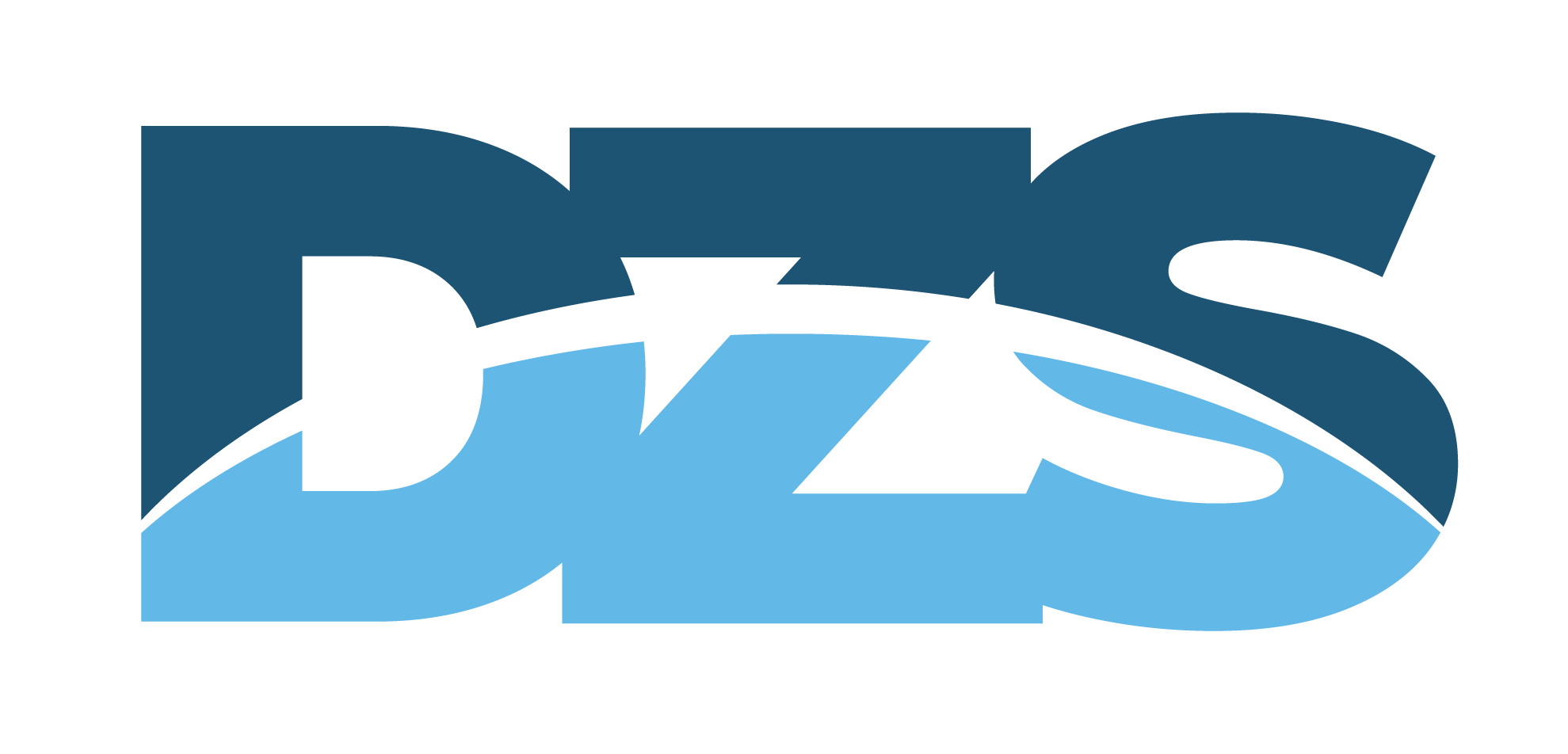Logo der DZS